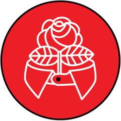 Troy DSA
